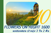 Flowers on Hight 1600 แม่ฮ่องสอน + ปางอุ๋ง – 3 วัน 2 คืน