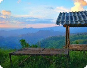 Cold Land ปาย + อ่างขาง..เสียงเพรียก จากความหนาวเหน็บ
