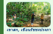 ทริปท่องเที่ยวเขาสก