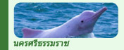 ทริปท่องเที่ยวนครศรีธรรมราช