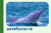 ทริปท่องเที่ยวนครศรีธรรมราช