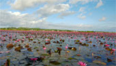 10 วัน 4 จังหวัด นครศรีธรรมราช กระบี่ พัทลุง ตรัง