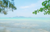 10 วัน 4 จังหวัด นครศรีธรรมราช กระบี่ พัทลุง ตรัง