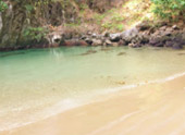10 วัน 4 จังหวัด นครศรีธรรมราช กระบี่ พัทลุง ตรัง