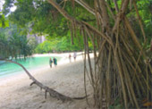 10 วัน 4 จังหวัด นครศรีธรรมราช กระบี่ พัทลุง ตรัง