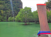 10 วัน 4 จังหวัด นครศรีธรรมราช กระบี่ พัทลุง ตรัง