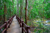 10 วัน 4 จังหวัด นครศรีธรรมราช กระบี่ พัทลุง ตรัง