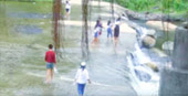 Connecting Program: 4 วัน 3 คืน