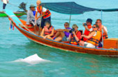 Dolphins and Mr. Khai เช้าเย็นกลับ