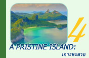 A pristine island: เกาะพะลวย