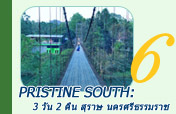 Pristine South: 3 วัน 2 คืน สุราษ นครศรีธรรมราช