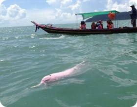 ทริปท่องเที่ยว นครศรีธรรมราช