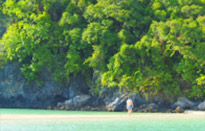 A pristine island: เกาะพะลวย