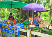 Build your hope 3 วัน 2 คืน สุราษ นครศรี