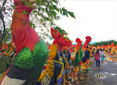 Pristine South: 3 วัน 2 คืน สุราษ นครศรีธรรมราช
