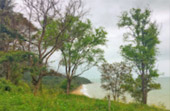Pristine South: 3 วัน 2 คืน สุราษ นครศรีธรรมราช
