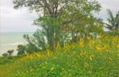 Pristine South: 3 วัน 2 คืน สุราษ นครศรีธรรมราช