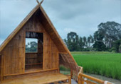 Pristine South: 3 วัน 2 คืน สุราษ นครศรีธรรมราช