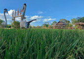Pristine South: 3 วัน 2 คืน สุราษ นครศรีธรรมราช