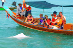 Pristine South: 3 วัน 2 คืน สุราษ นครศรีธรรมราช