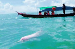 Pristine South: 3 วัน 2 คืน สุราษ นครศรีธรรมราช