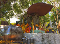 Pristine South: 3 วัน 2 คืน สุราษ นครศรีธรรมราช