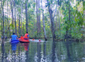 Pristine South: 3 วัน 2 คืน สุราษ นครศรีธรรมราช