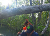 Pristine South: 3 วัน 2 คืน สุราษ นครศรีธรรมราช