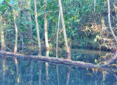 Pristine South: 3 วัน 2 คืน สุราษ นครศรีธรรมราช
