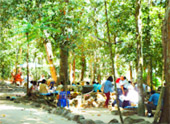 Pristine South: 3 วัน 2 คืน สุราษ นครศรีธรรมราช