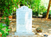 Pristine South: 3 วัน 2 คืน สุราษ นครศรีธรรมราช