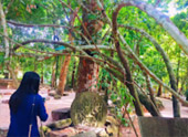 Pristine South: 3 วัน 2 คืน สุราษ นครศรีธรรมราช
