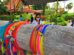 Pristine South: 3 วัน 2 คืน สุราษ นครศรีธรรมราช Pristine South: 3 วัน 2 คืน สุราษ นครศรีธรรมราช