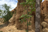 Around North: 5 วัน 4 คืน น่าน เชียงราย ลำปาง พะเยา