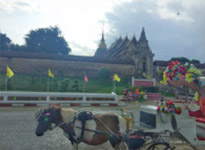 Around North: 5 วัน 4 คืน น่าน เชียงราย ลำปาง พะเยา