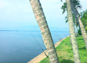 Around North: 5 วัน 4 คืน น่าน เชียงราย ลำปาง พะเยา