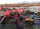 Around North: 5 วัน 4 คืน น่าน เชียงราย ลำปาง พะเยา