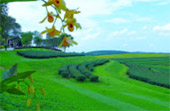 Around North: 5 วัน 4 คืน น่าน เชียงราย ลำปาง พะเยา