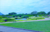 Around North: 5 วัน 4 คืน น่าน เชียงราย ลำปาง พะเยา