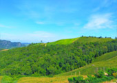 Real High: ปัว น่าน บ่อเกลือ สะปัน 3 วัน 2 คืน