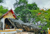 The Cross น่าน หลวงพระบาง 5 วัน 4 คืน