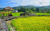 Exotic Buddha: น่าน - แพร่ 4 วัน 3 คืน ตามรอยพระพุทธเจ้า