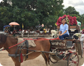 4 วัน 3 คืน ลำปาง แพร่ น่าน