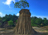 Real High: ปัว น่าน บ่อเกลือ สะปัน 3 วัน 2 คืน