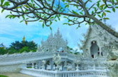 Water Mitty : 8 วันเปลี่ยนตัวเอง