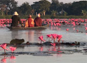 Water Mitty : 8 วันเปลี่ยนตัวเอง
