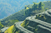 Water Mitty : 8 วันเปลี่ยนตัวเอง