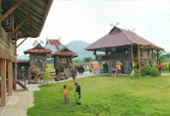 Cannot see the wood for tree: พิษณุโลก 4 วัน 3 คืน
