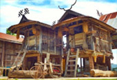 Cannot see the wood for tree: พิษณุโลก 4 วัน 3 คืน