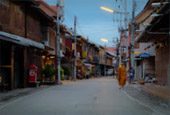 Cannot see the wood for tree: พิษณุโลก 4 วัน 3 คืน